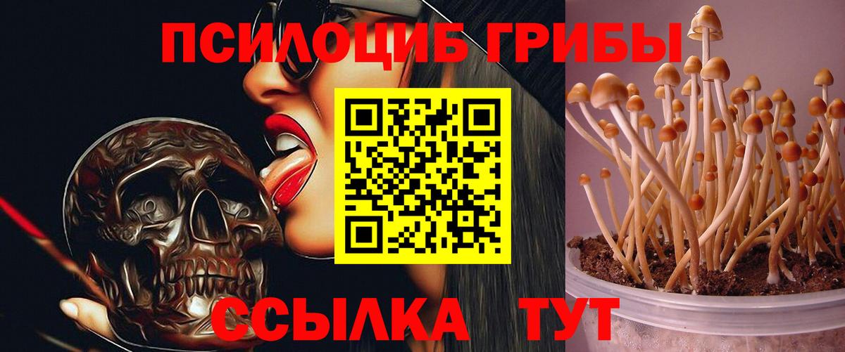 Псилоцибиновые грибы мицелий  Вход с VPN  Орехово-Зуево 